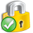 100% Secure SSL Server